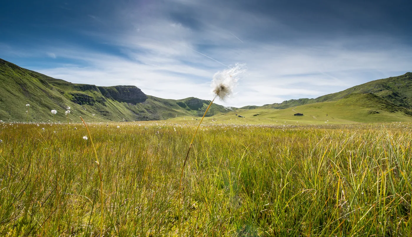 Fideriser Heuberge