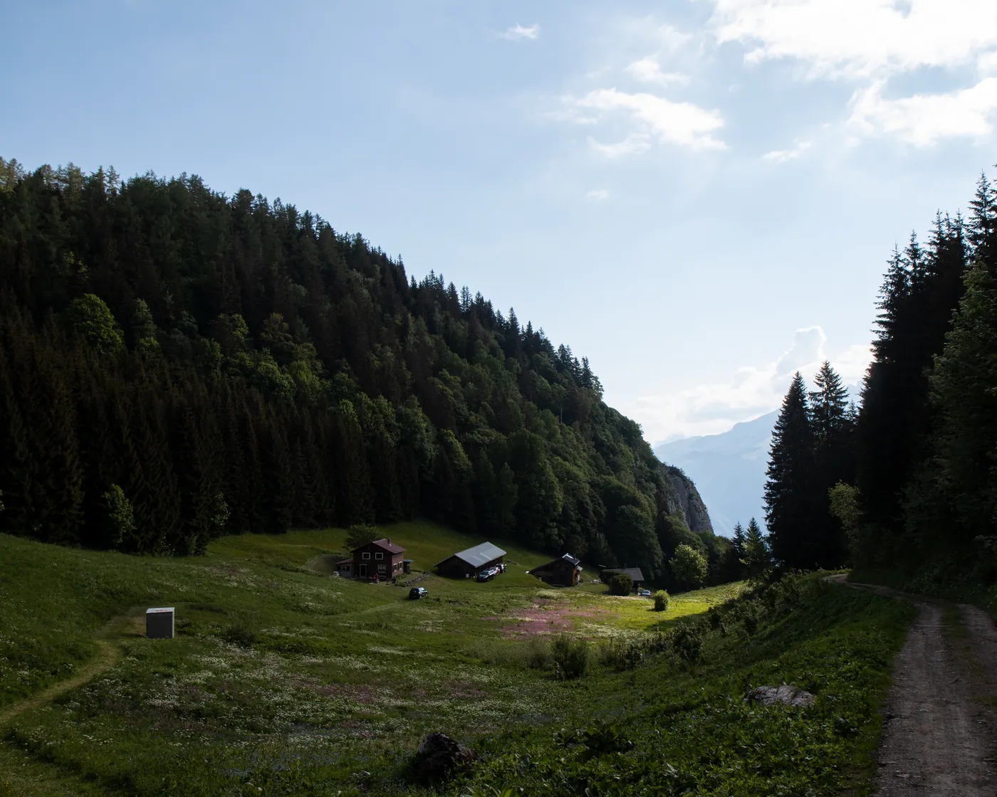 Lac de Taney