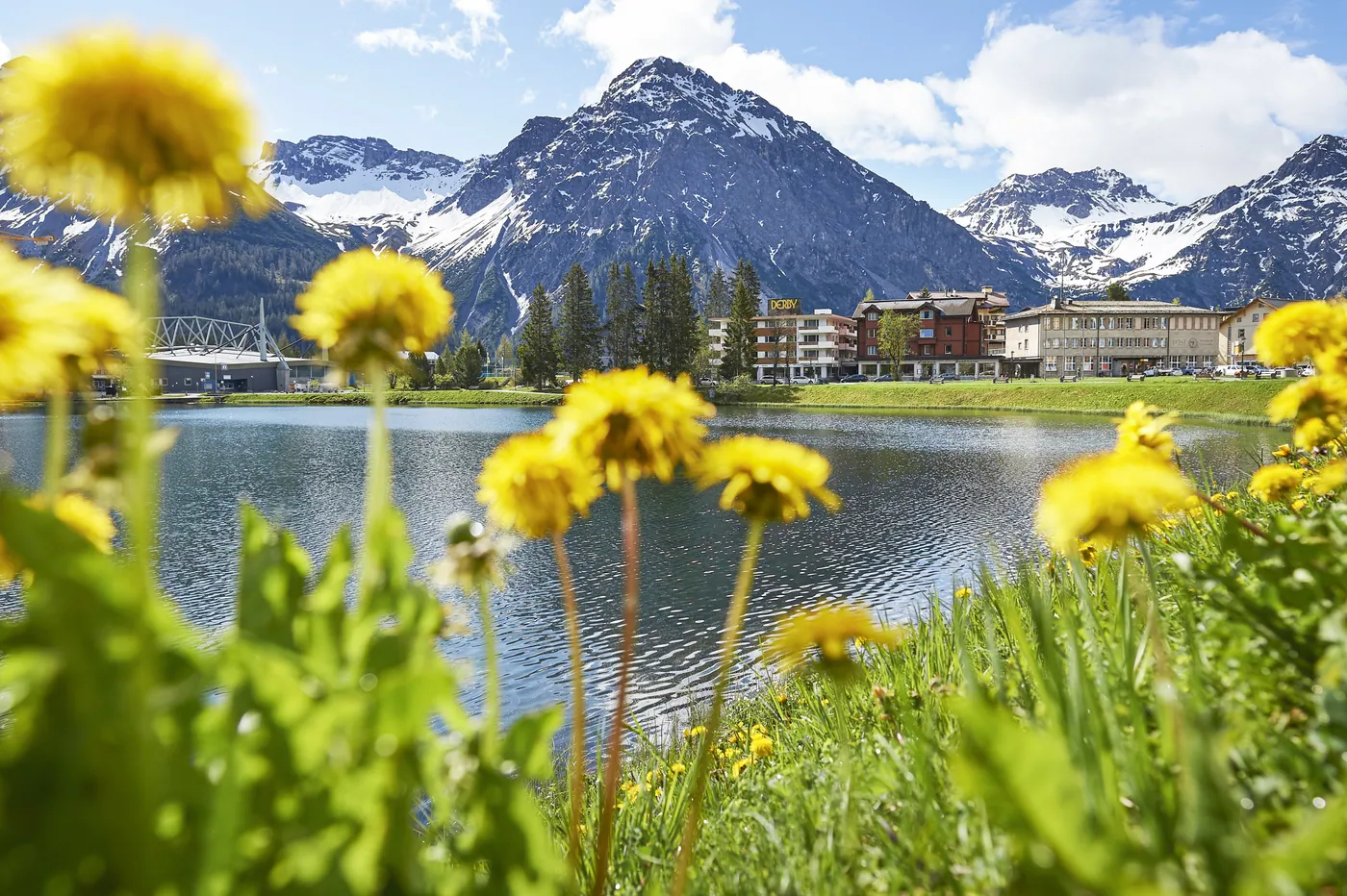 Arosa