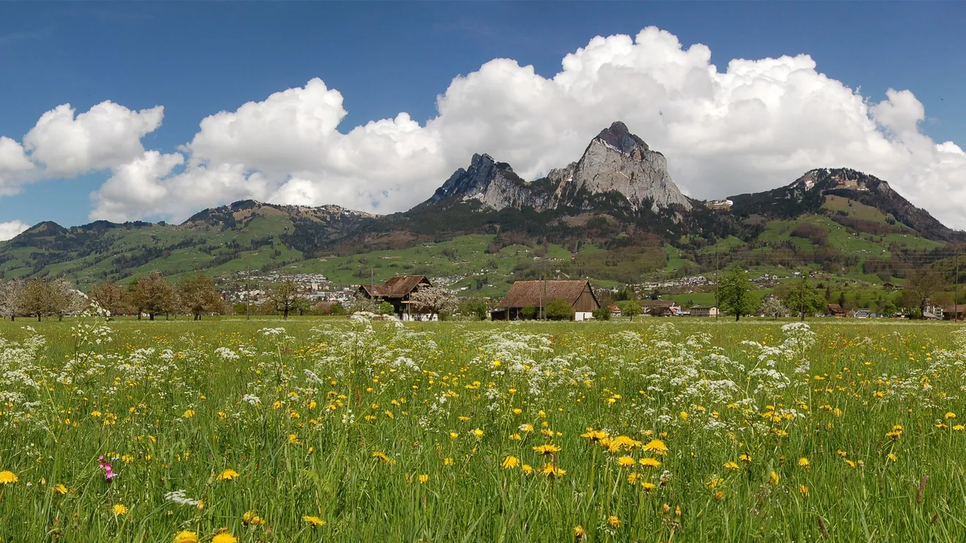 Schwyz