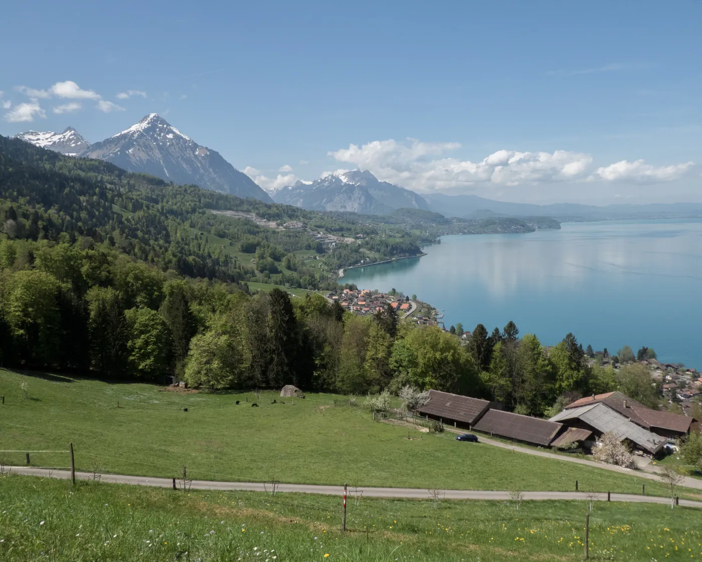 Panorama Rundweg Thunersee