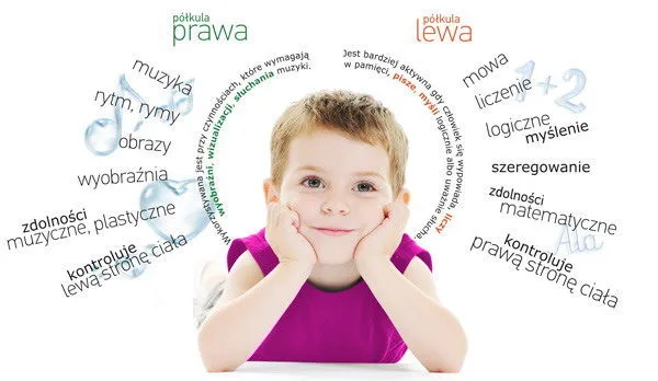 Lewa półkula mózgu a dwujęzyczność!